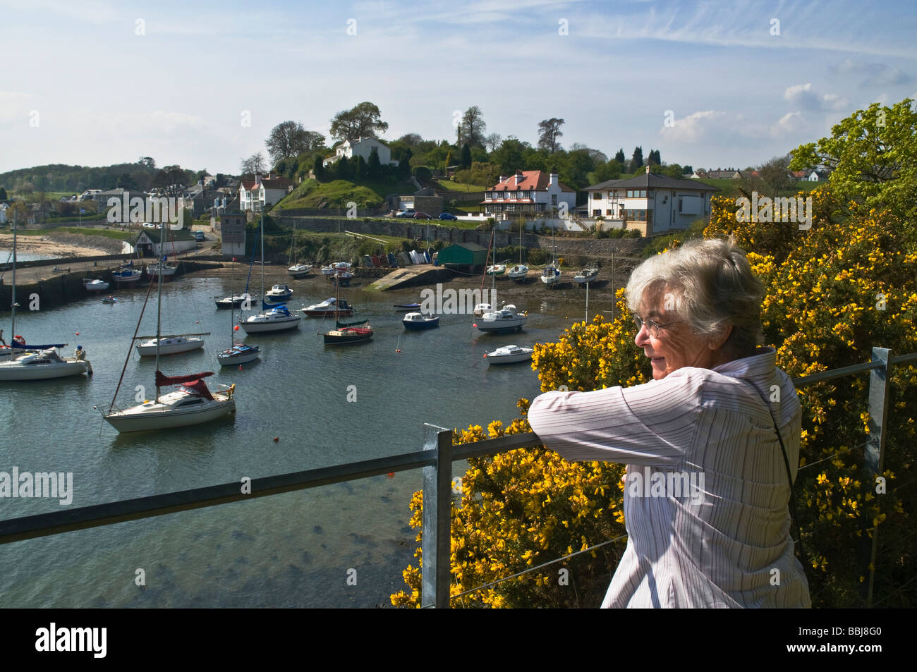 Dh Aberdour Yachthafen ABERDOUR FIFE Frau suchen über ältere britische Generation älterer Erwachsener Stockfoto