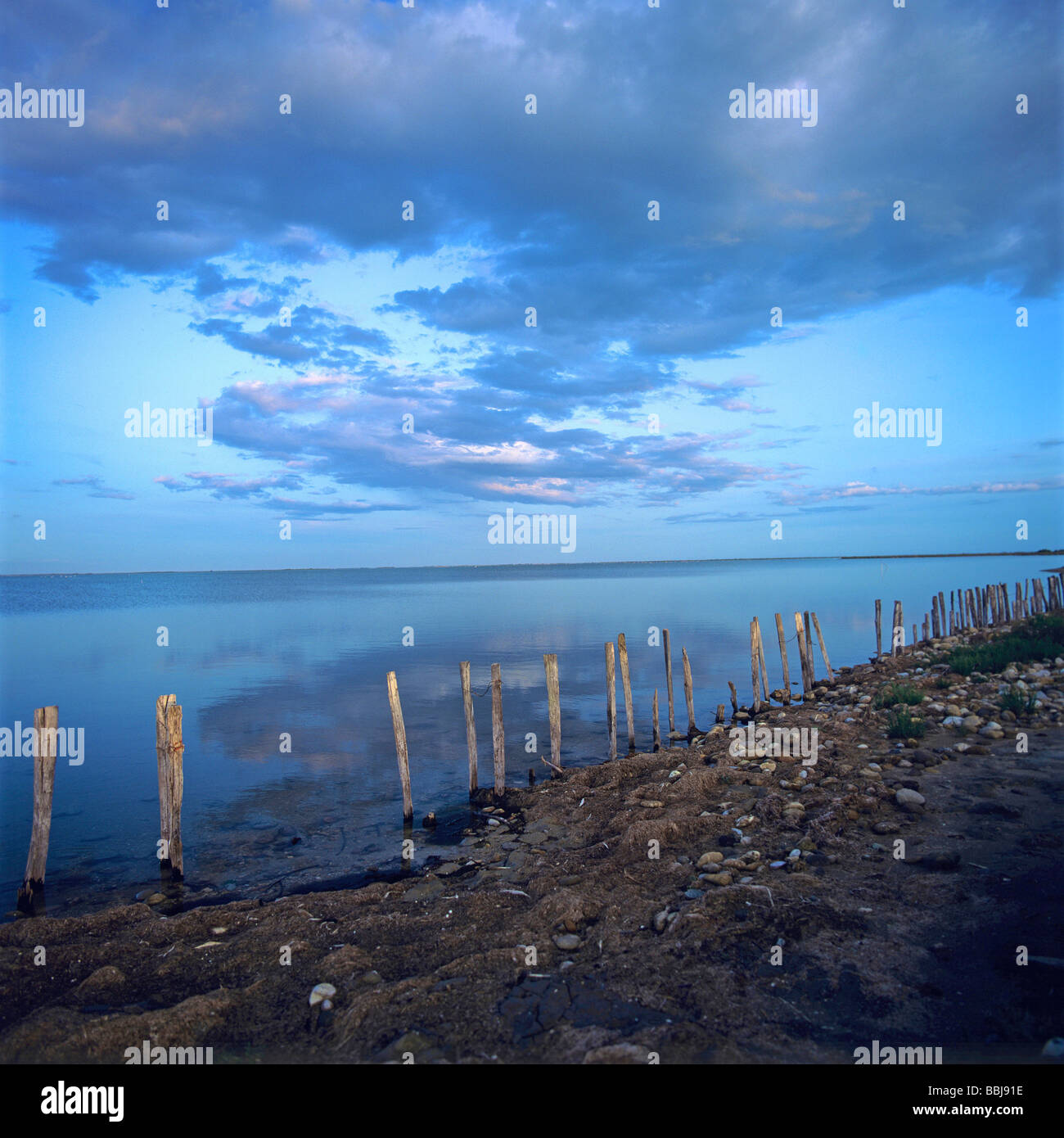 Holzpfosten am Strand bei Sonnenuntergang. Frankreich. Stockfoto