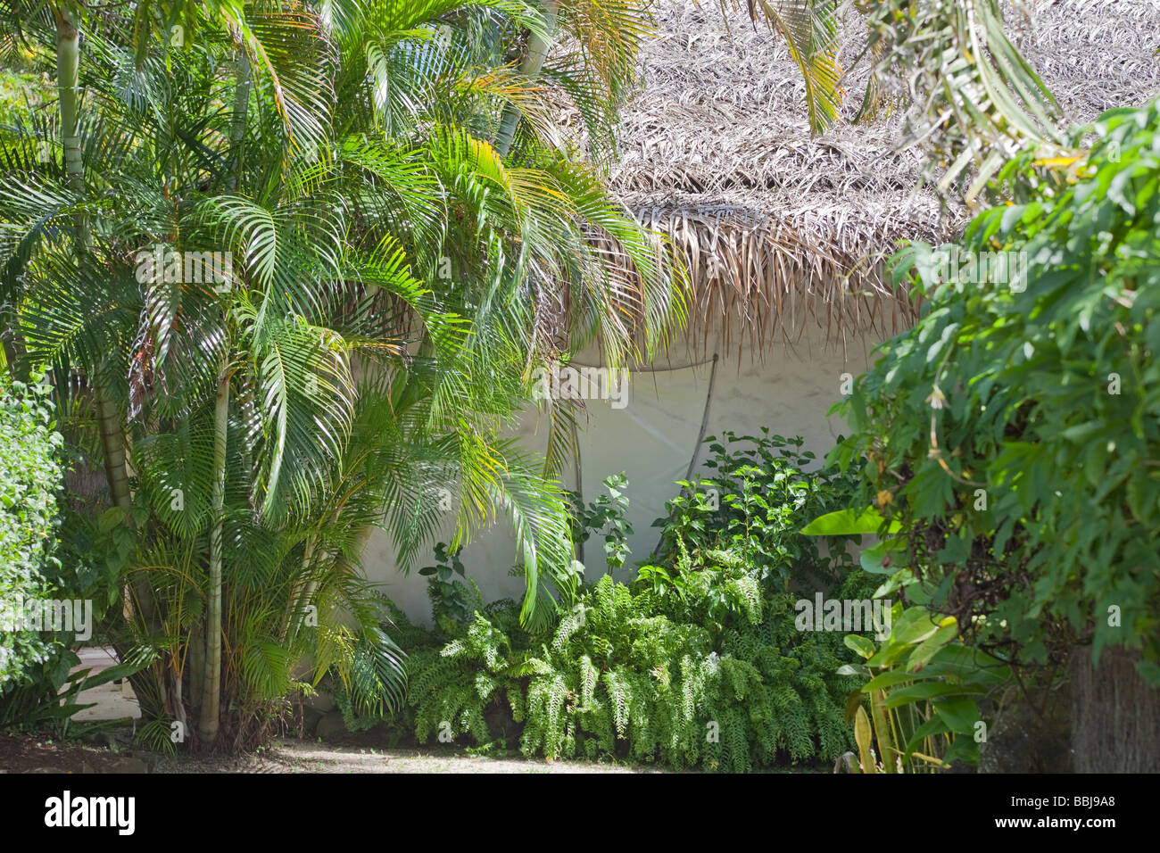 Palm strohgedeckten Hütte in einem tropischen Garten - Polynesien, Rarotonga, Cook-Inseln Stockfoto