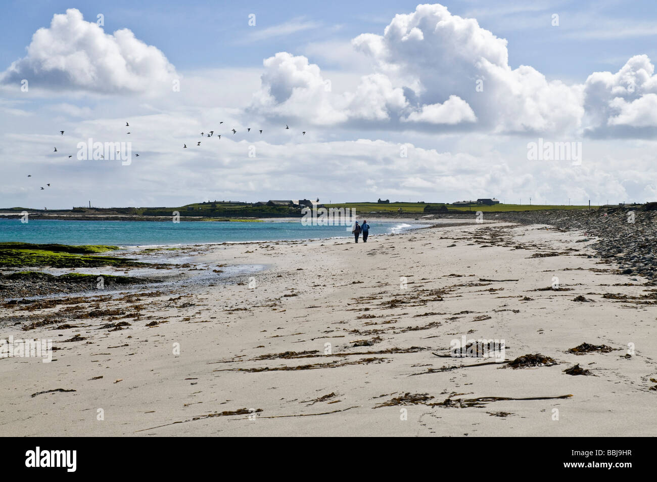 dh Linklet Bay NORTH RONALDSAY ORKNEY Menschen laufen auf sandigen Strand Wanderer Stockfoto