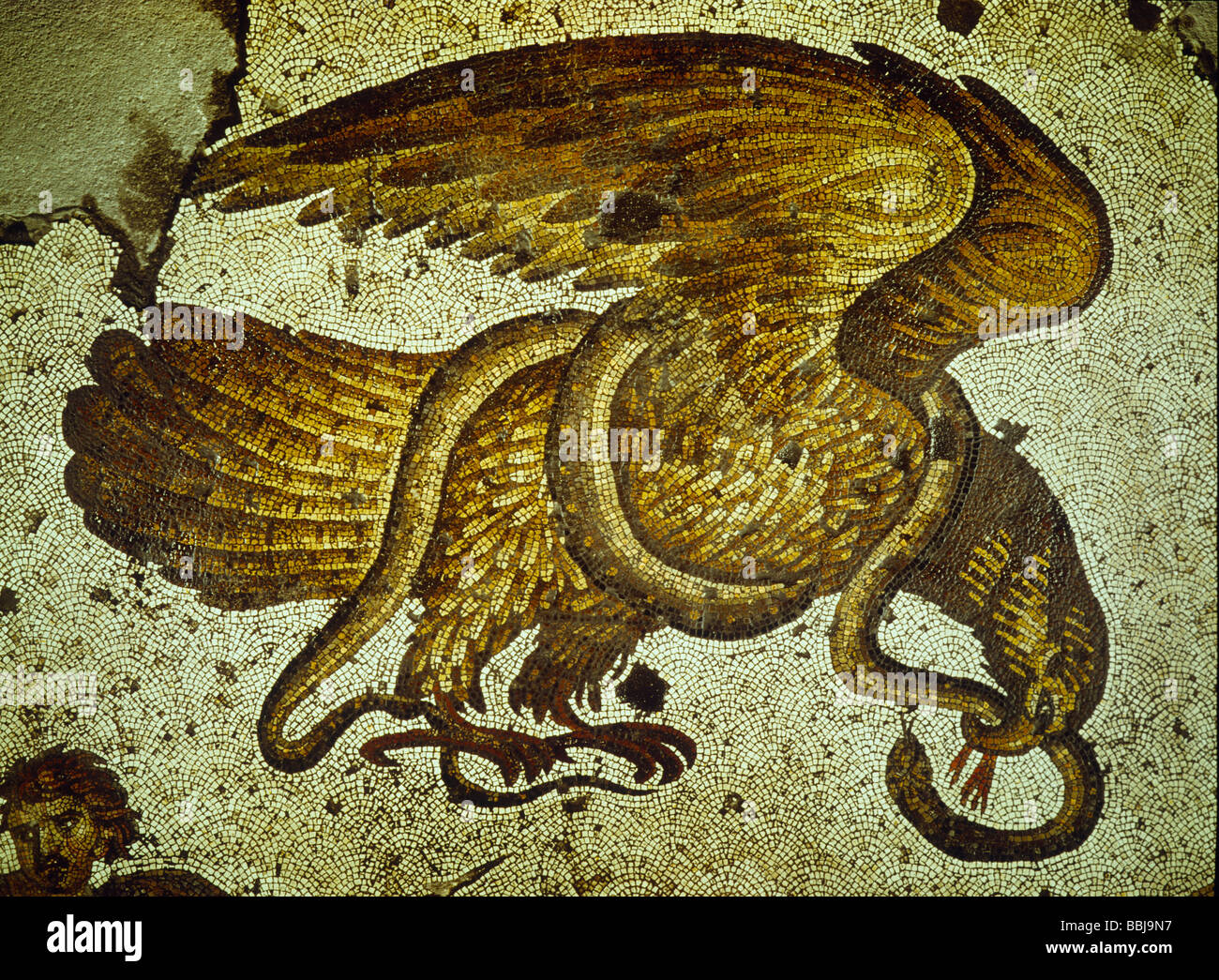 Adler-Angriff auf eine Schlange Mosaik Museum Istanbul Foto von Andre Held  Stockfotografie - Alamy