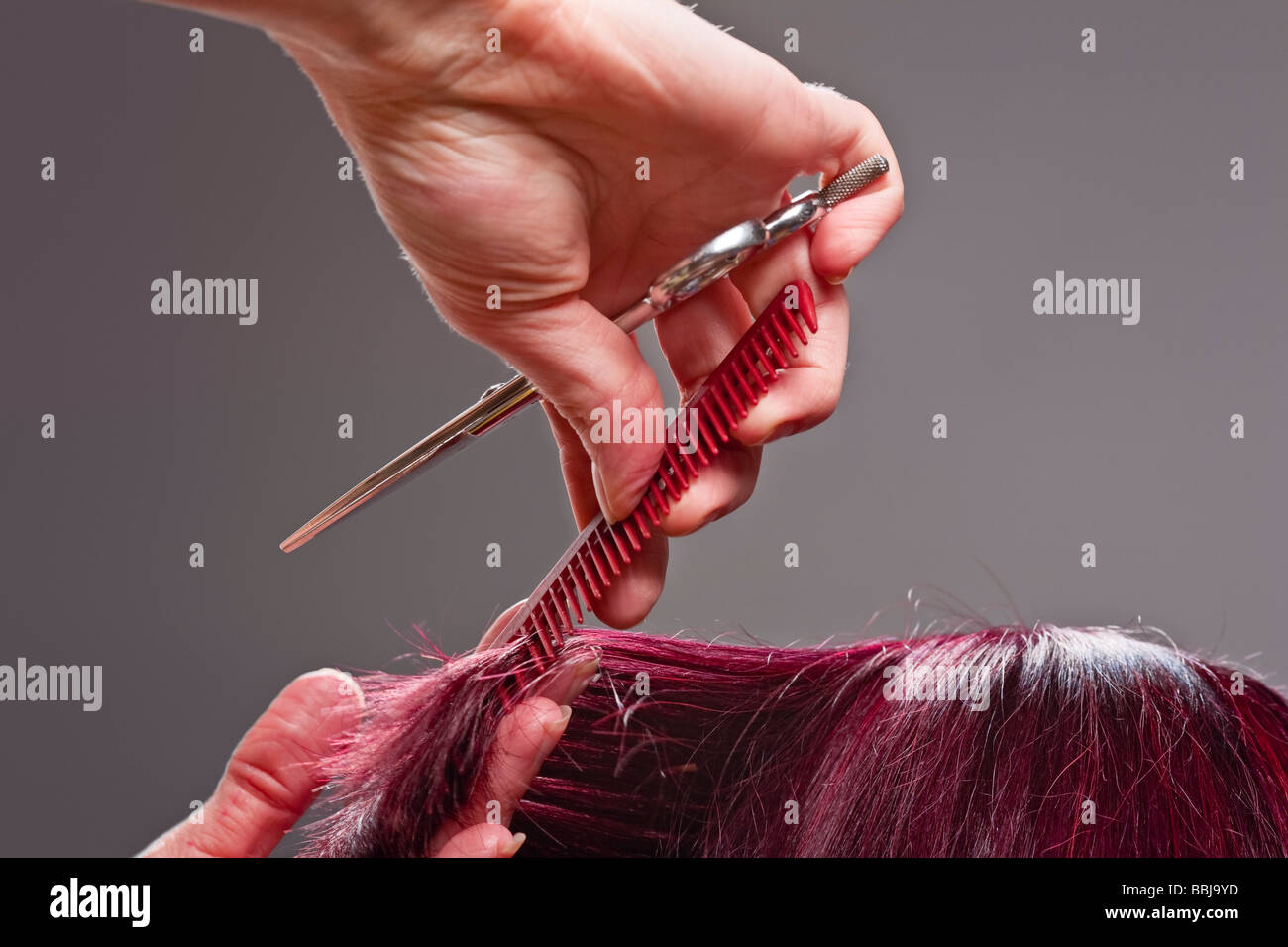 Nahaufnahme von Friseur Hände Client Haar-styling Stockfoto