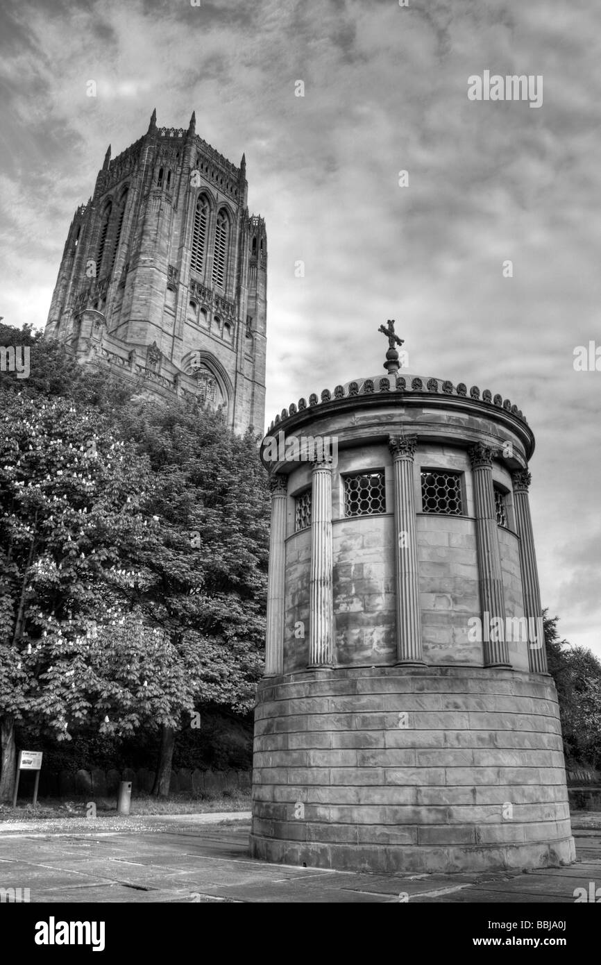 HDR-Porträt von William Huskisson Memorial und Tower Of Liverpool Anglican Cathedral, Merseyside, UK Stockfoto