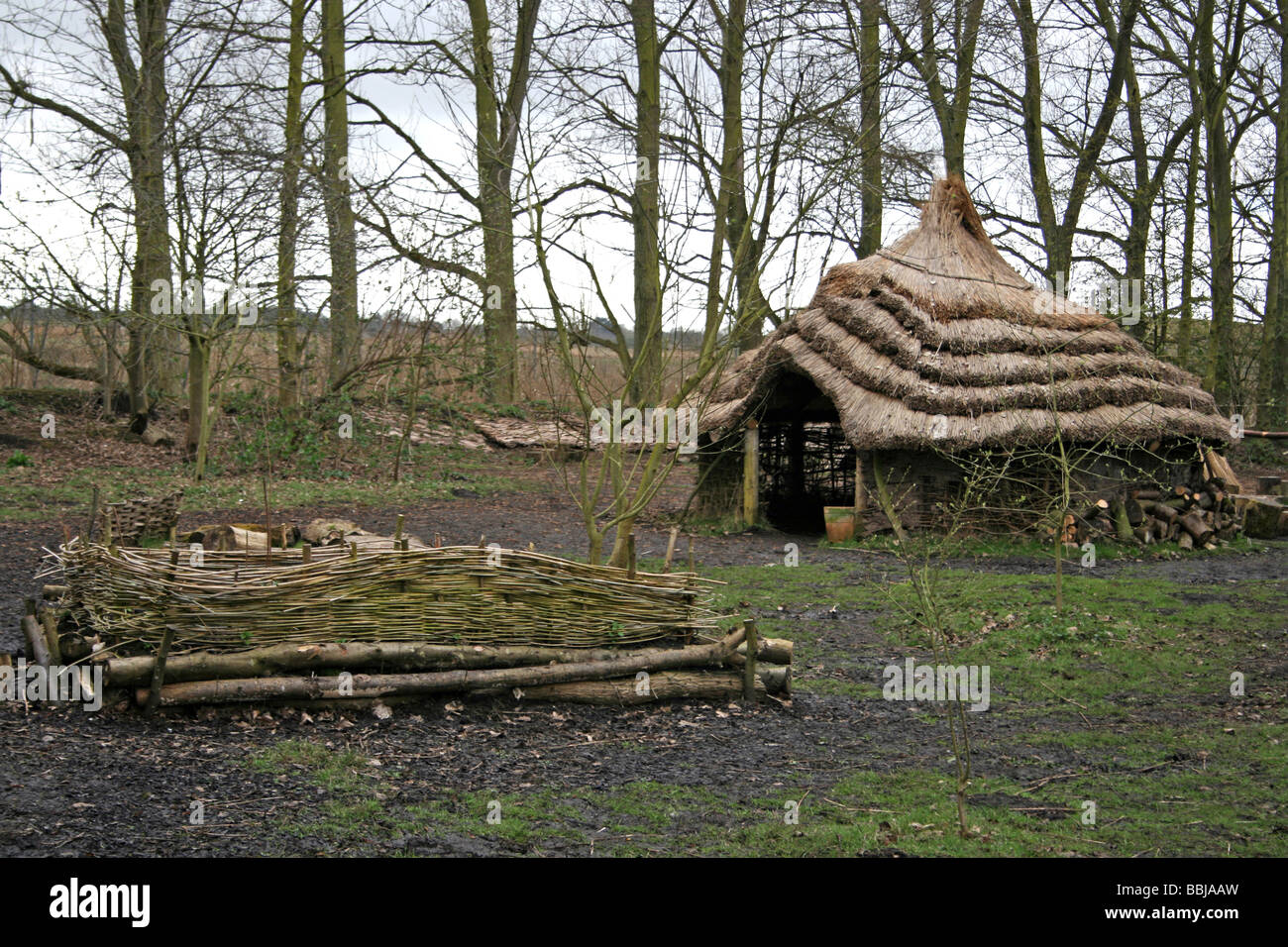 Bloße Tun: Eine Rekonstruktion der Roundhouse Dorf bei Martin bloßen WWT, Lancashire, UK Stockfoto