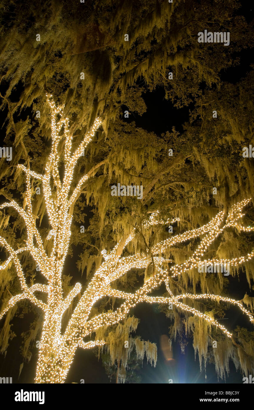 Festival der Lichter Stephen Foster Folk Kultur Zentrum State Park White Springs Florida Stockfoto