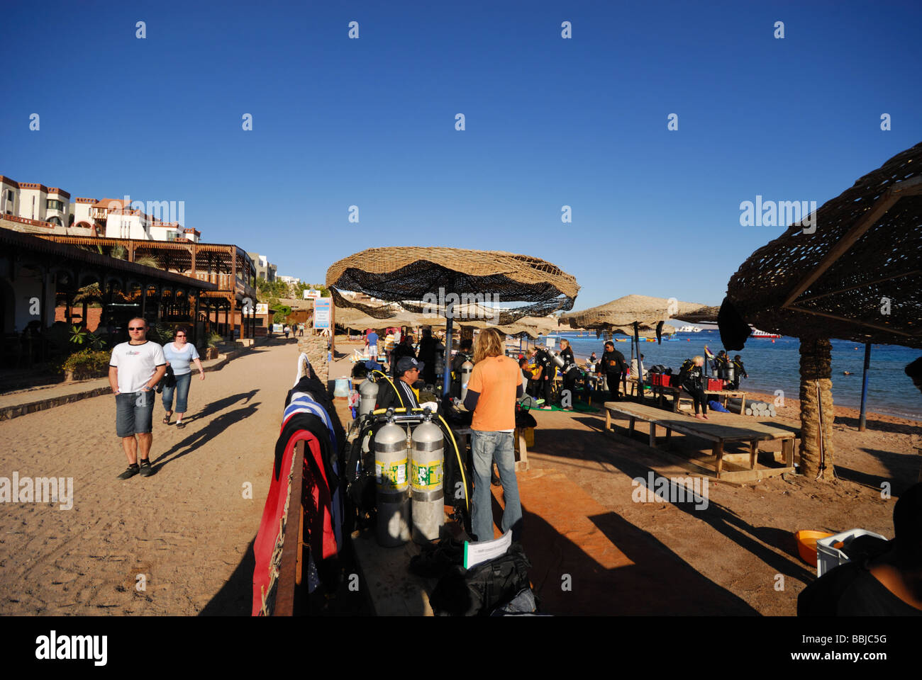 Tauchen in Haie Bucht Sharm el Sheikh Ägypten Stockfoto