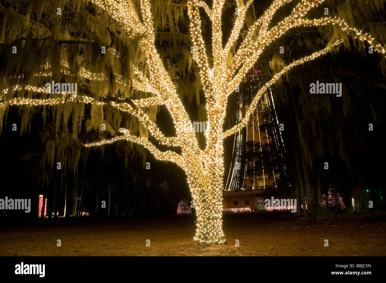 Festival der Lichter Stephen Foster Folk Kultur Zentrum State Park White Springs Florida Stockfoto