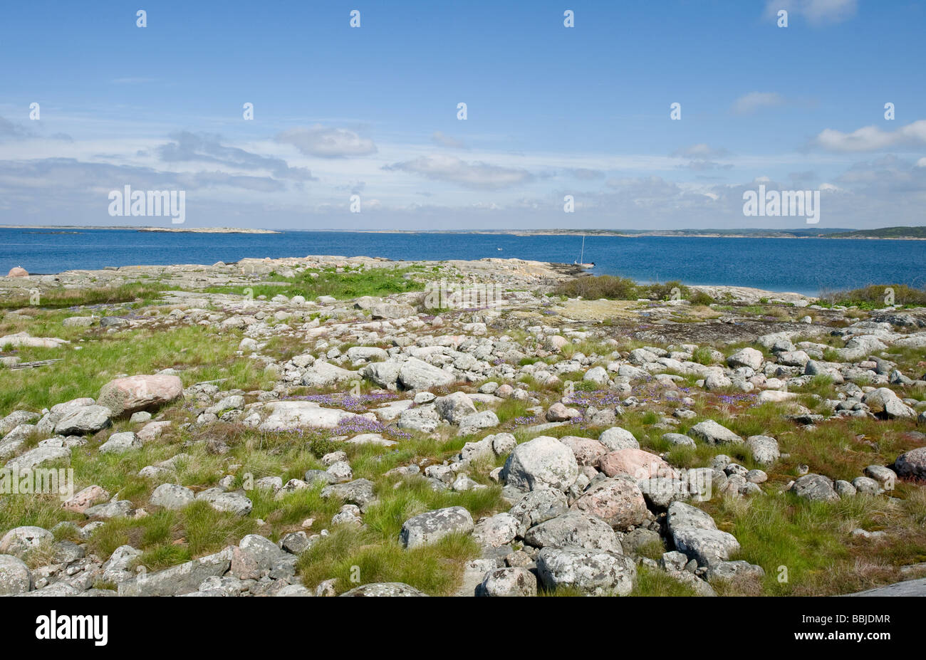 Querformat aus der West-Küste von Schweden Stockfoto