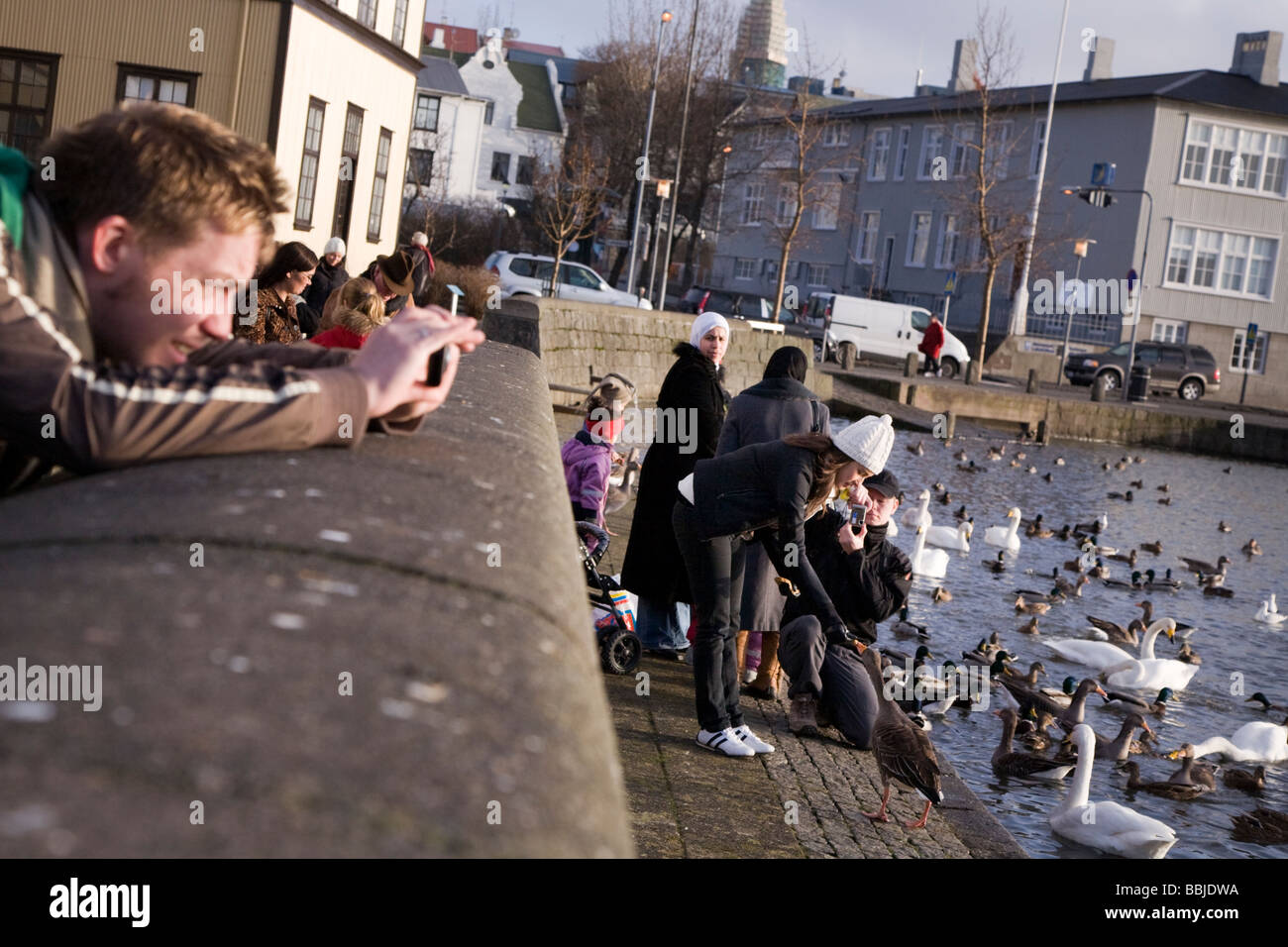 Menschen zu fotografieren und die Vögel zu füttern.  Lake Tjörnin, Innenstadt von Reykjavik Island. Stockfoto