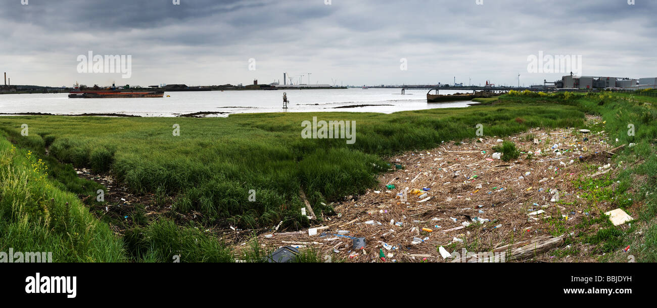Panoramablick auf Verschmutzung angespült am Ufer des Flusses Essex Stockfoto