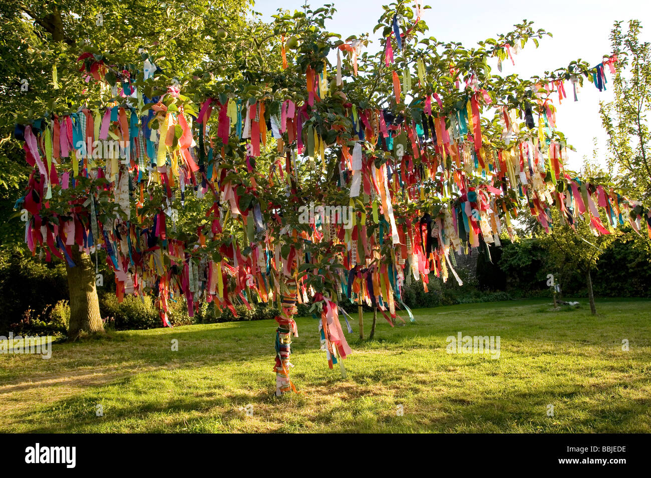 Wishing Tree, Nunnington Hall Gardens, Nunnington, in der Nähe von York, UK Stockfoto