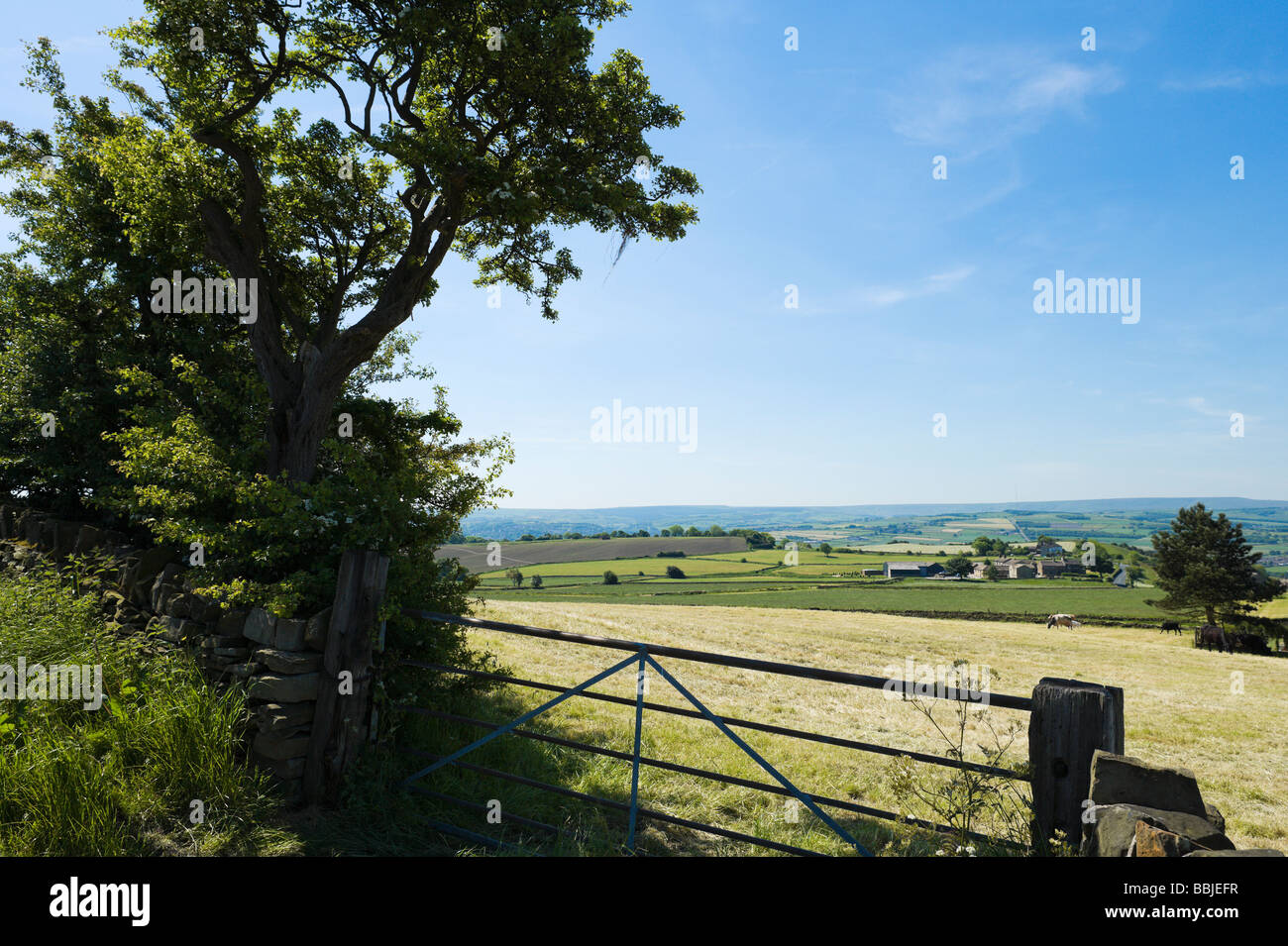 Felder und ab-Hof in der Nähe von Huddersfield, West Yorkshire, England Stockfoto