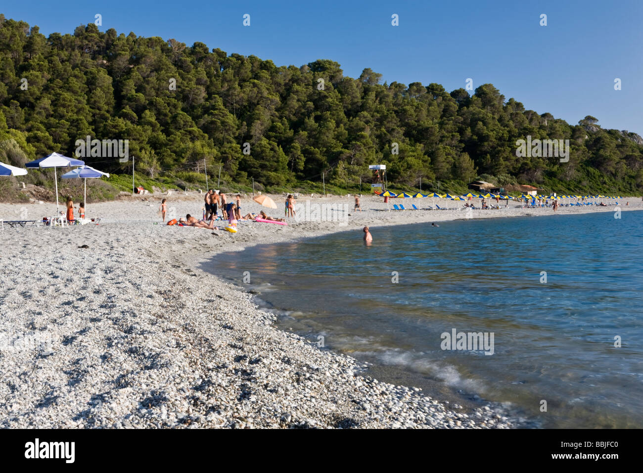 Milia Beach Skopelos Insel der Sporaden griechische Inseln Griechenland Stockfoto