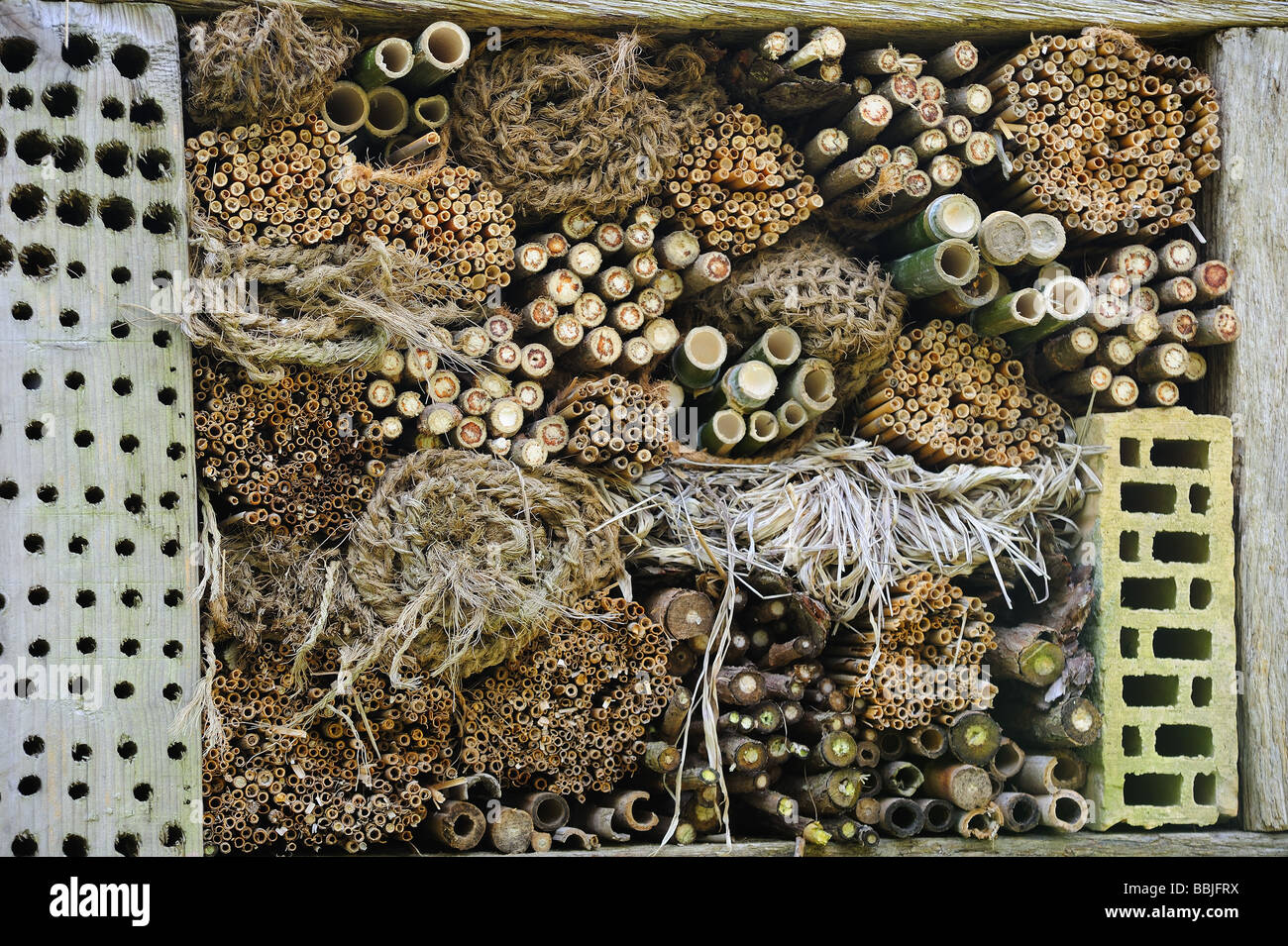 Ein Nistkasten für verschiedene Arten von Bienen und Wespen in einem Schweizer Naturschutzgebiet eingerichtet. Stockfoto