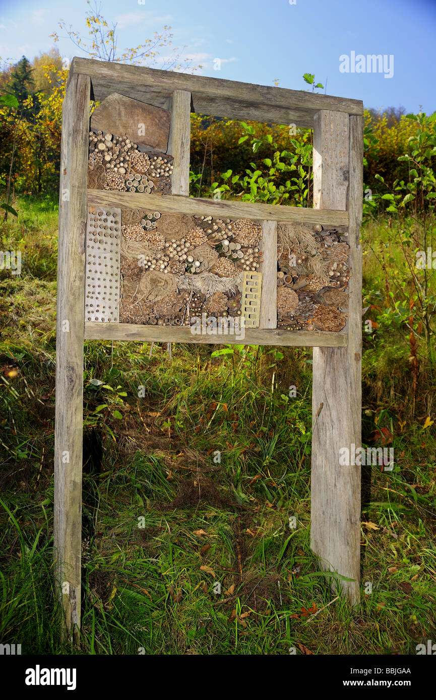 Ein Nistkasten für verschiedene Arten von Bienen und Wespen in einem Schweizer Naturschutzgebiet eingerichtet. Stockfoto