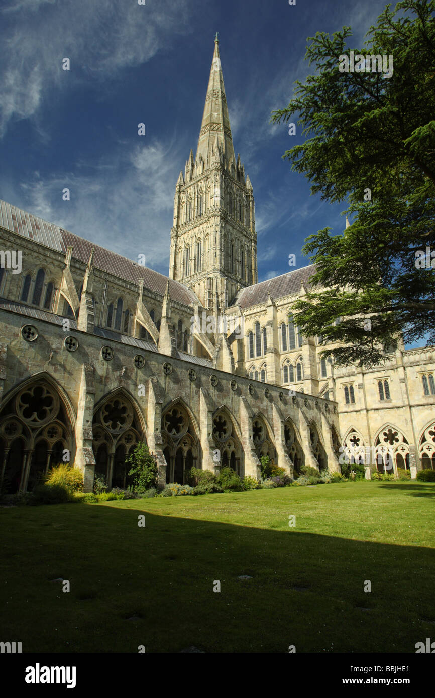 Kathedrale von Salisbury aus den Kreuzgängen, Wiltshire England Stockfoto