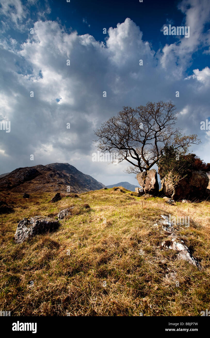 Garbh Bheinn Mountain Glen Tarbert Ardgour Highlands Schottland Stockfoto