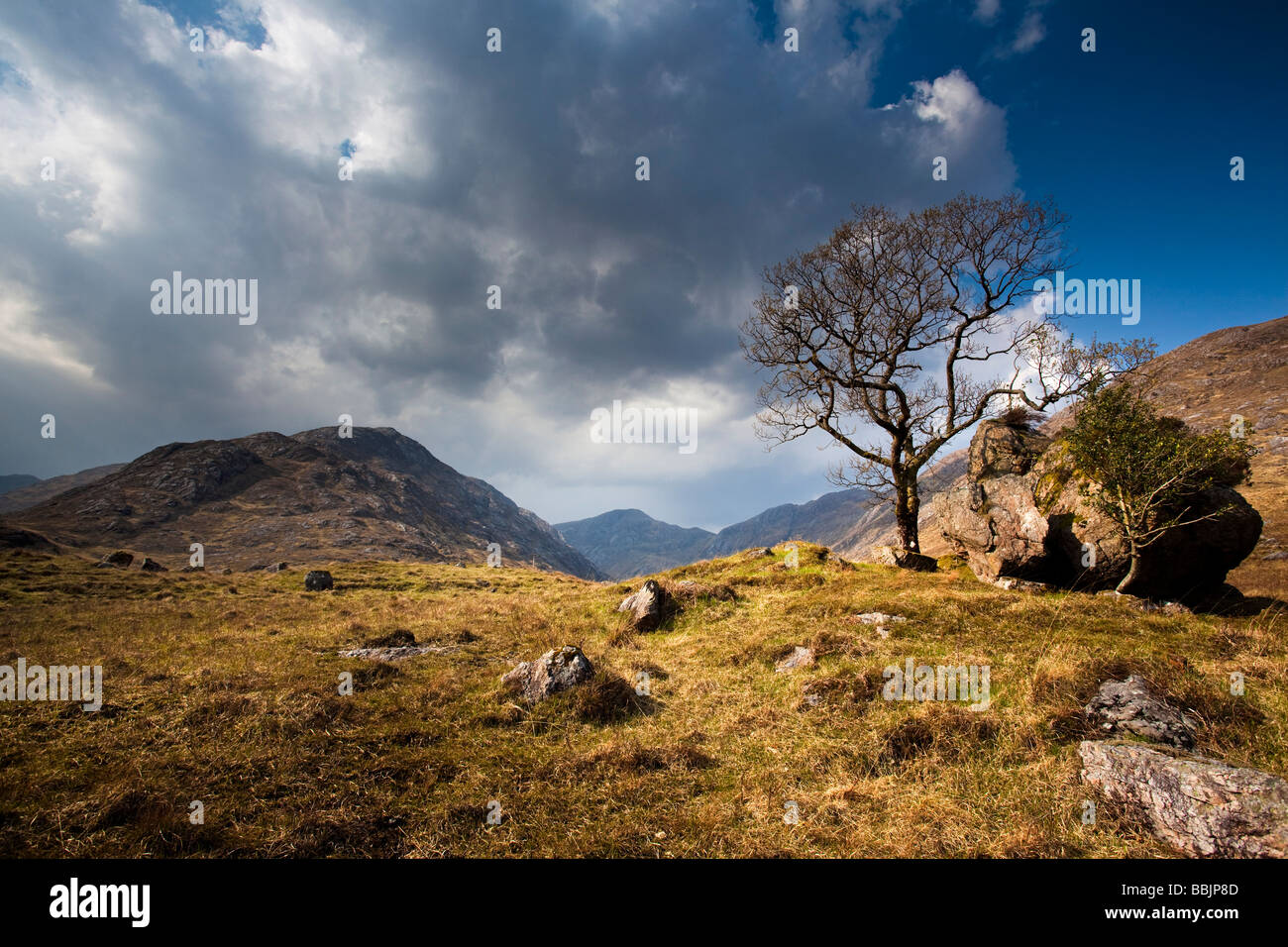 Garbh Bheinn Mountain Glen Tarbert Ardgour Highlands Schottland Stockfoto