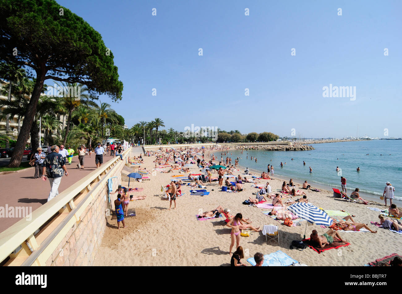 Der Hauptstrand an der Croisette, im Zentrum von Cannes, Côte d ' Azur, während das berühmte Filmfestival. Süd-Frankreich. Stockfoto