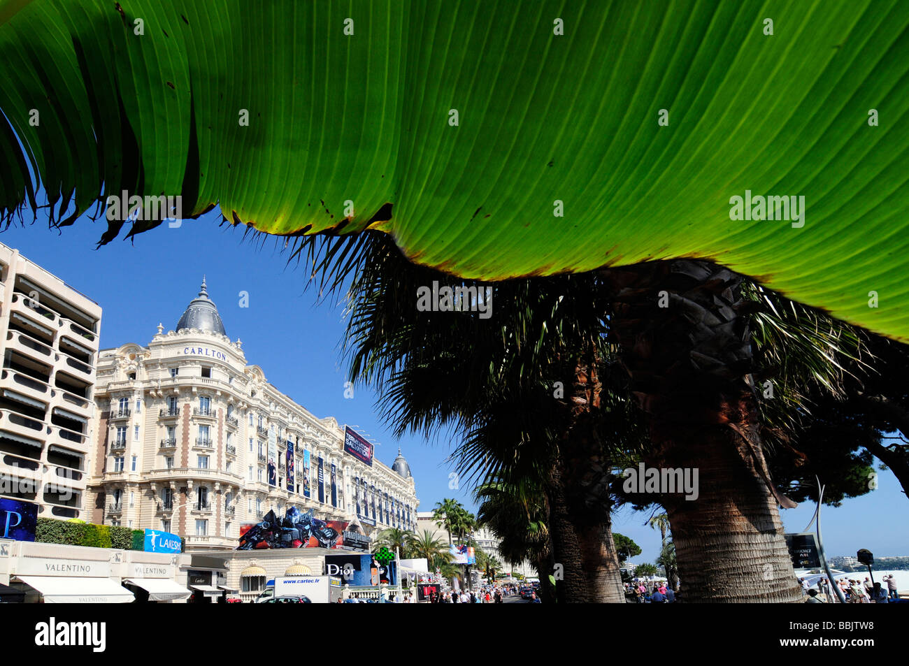 Das Palace Hotel "Carlton"; eines der Hotels von Promis bei den Filmfestspielen in Cannes, Frankreich geschätzt. Stockfoto