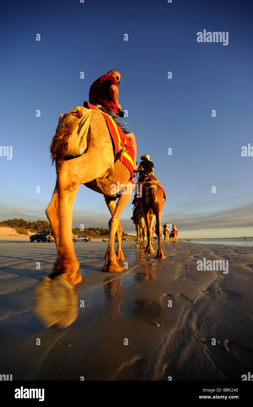 Touristen genießen einen Kamelritt bei Sonnenuntergang am Cable Beach in Broome, Western Australia. Stockfoto