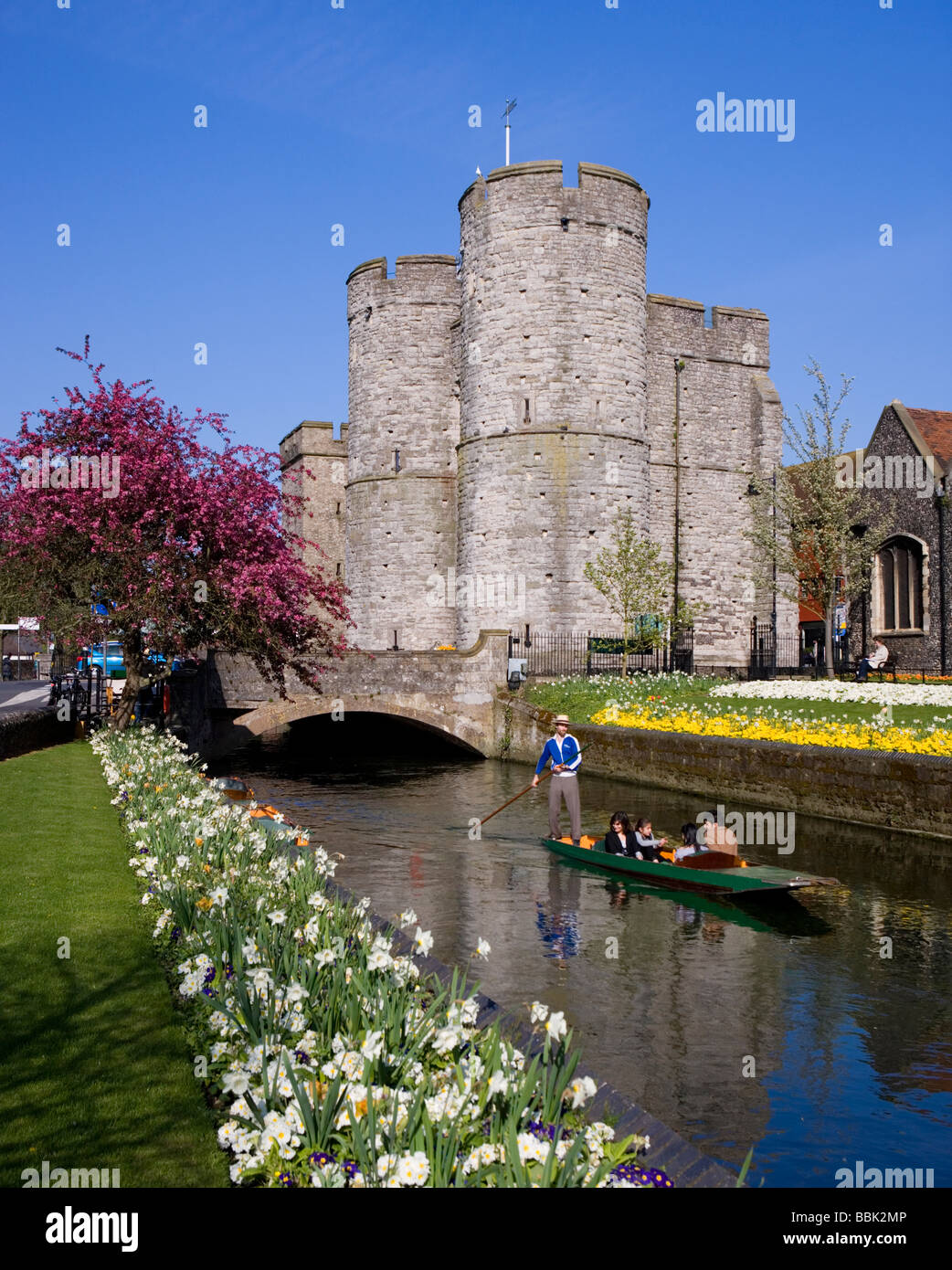 Männer Stechkahn fahren Touristen entlang der Westgate Gärten am Fluss Stour in Canterbury, Kent, UK Stockfoto