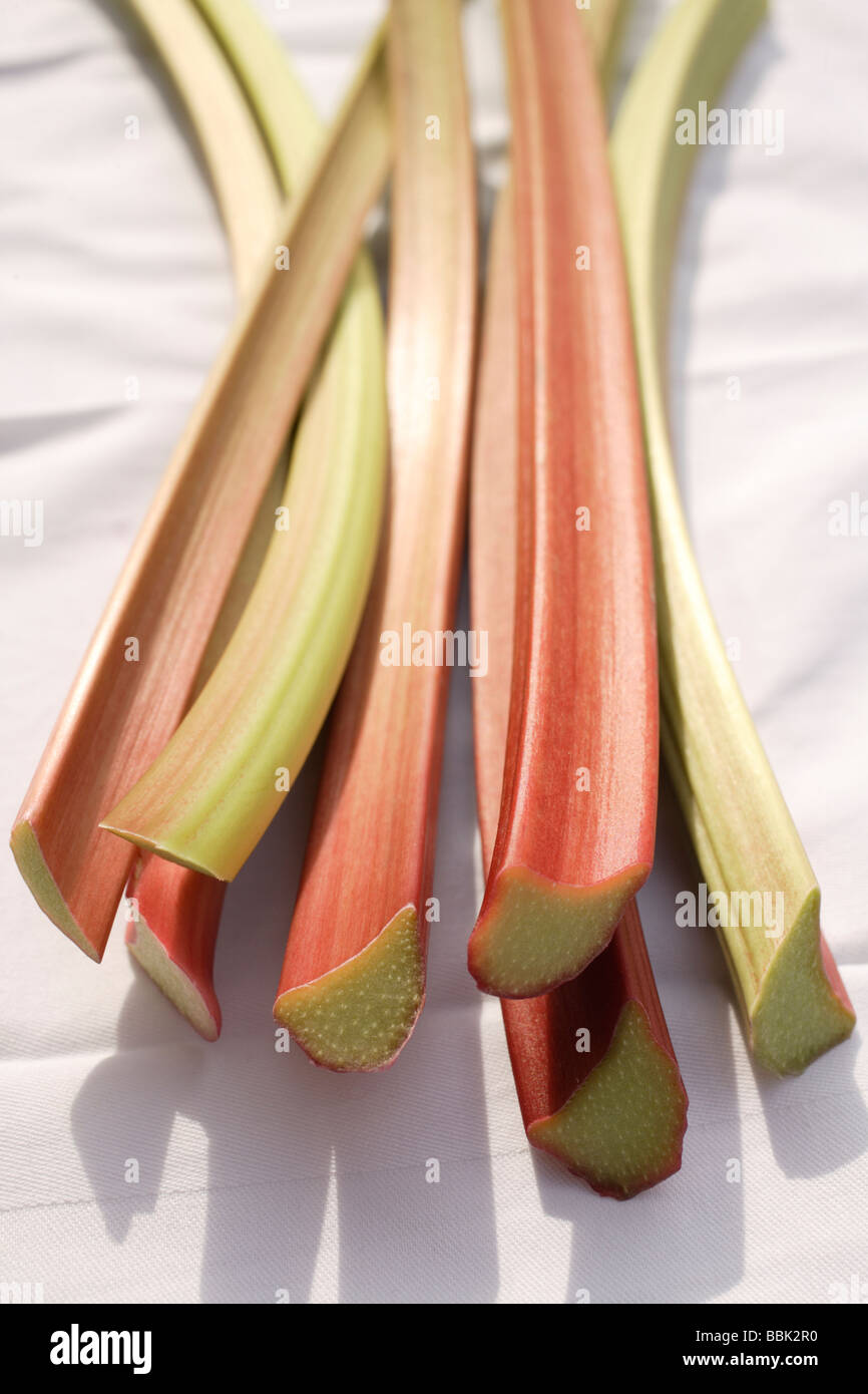 Geschnittenen Rhabarber Rheum rhabarbarum Stockfoto