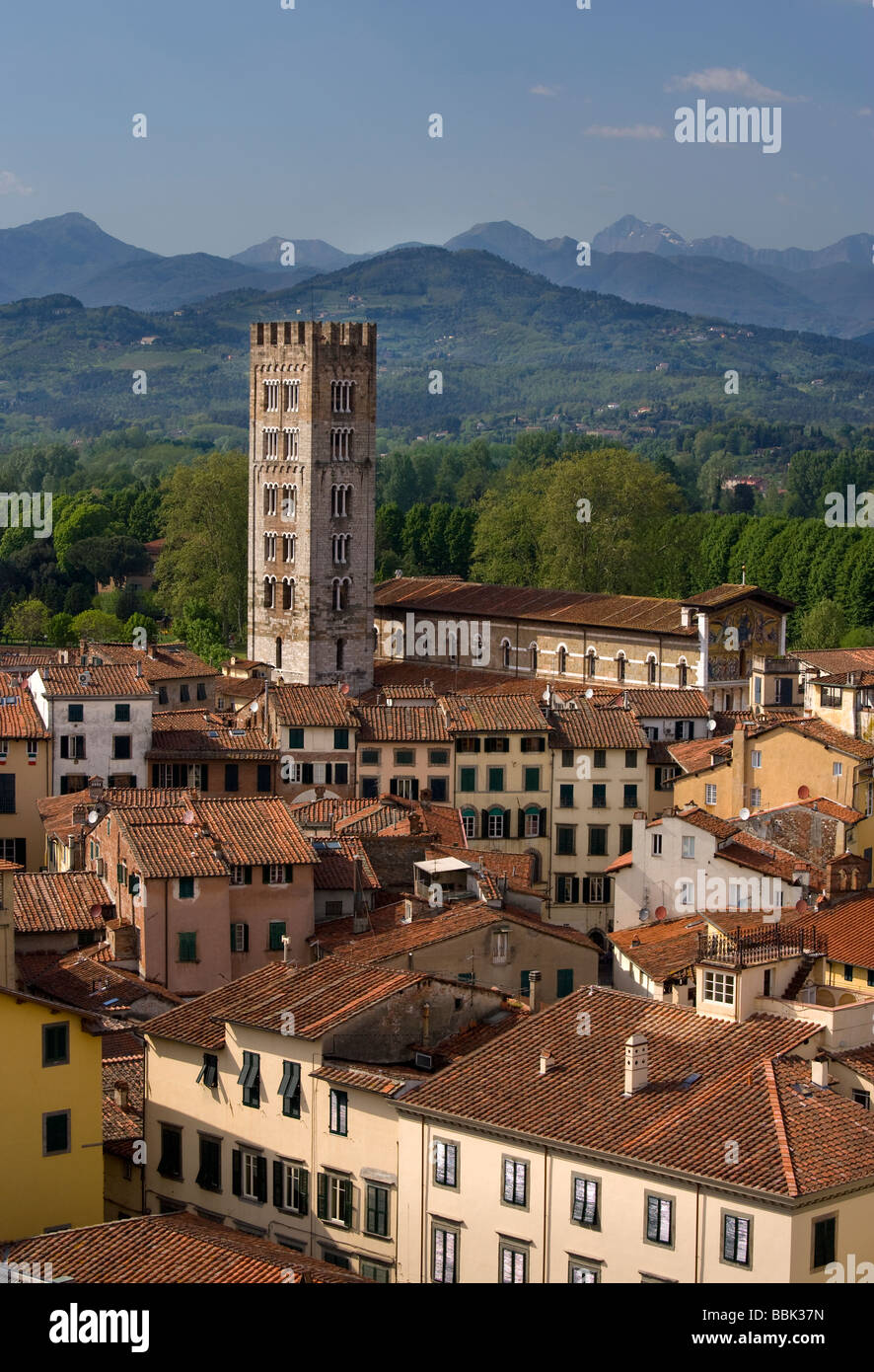 Erhöhte Ansicht von Lucca vom Torre Guinigi, Basilica di San Frediano, Lucca, Toskana, Italien, Europa Stockfoto