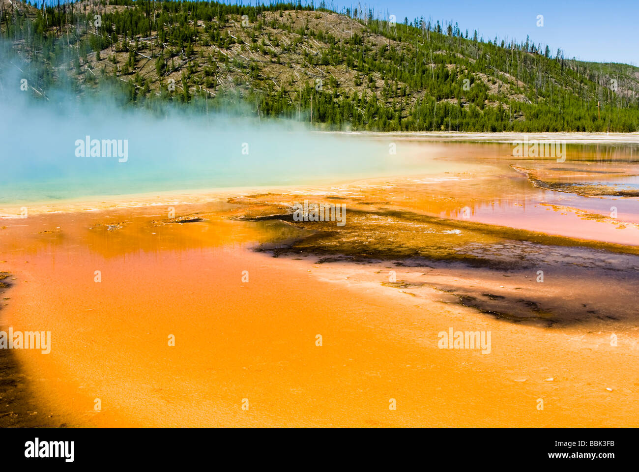 Grand Prismatic Spring im Yellowstone National Park Stockfoto