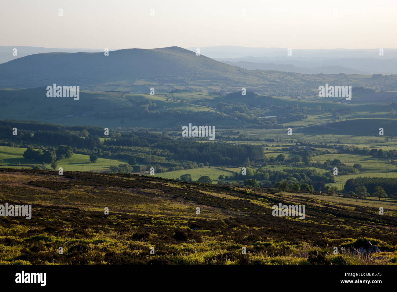Corndon Hügel steigt aus dem Abend Nebel, wie gesehen von der Stiperstones, Shropshire Stockfoto