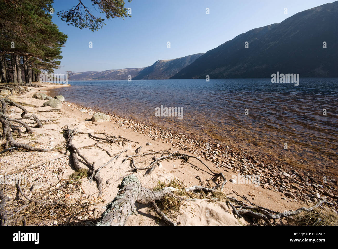 Ufer des Loch Muick von der königlichen Residenz in Glas-Allt Shiel, Balmoral estate Stockfoto
