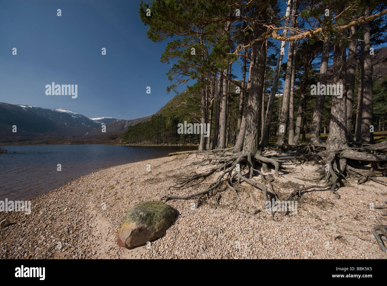 Ufer des Loch Muick von der königlichen Residenz in Glas-Allt Shiel, Balmoral estate Stockfoto