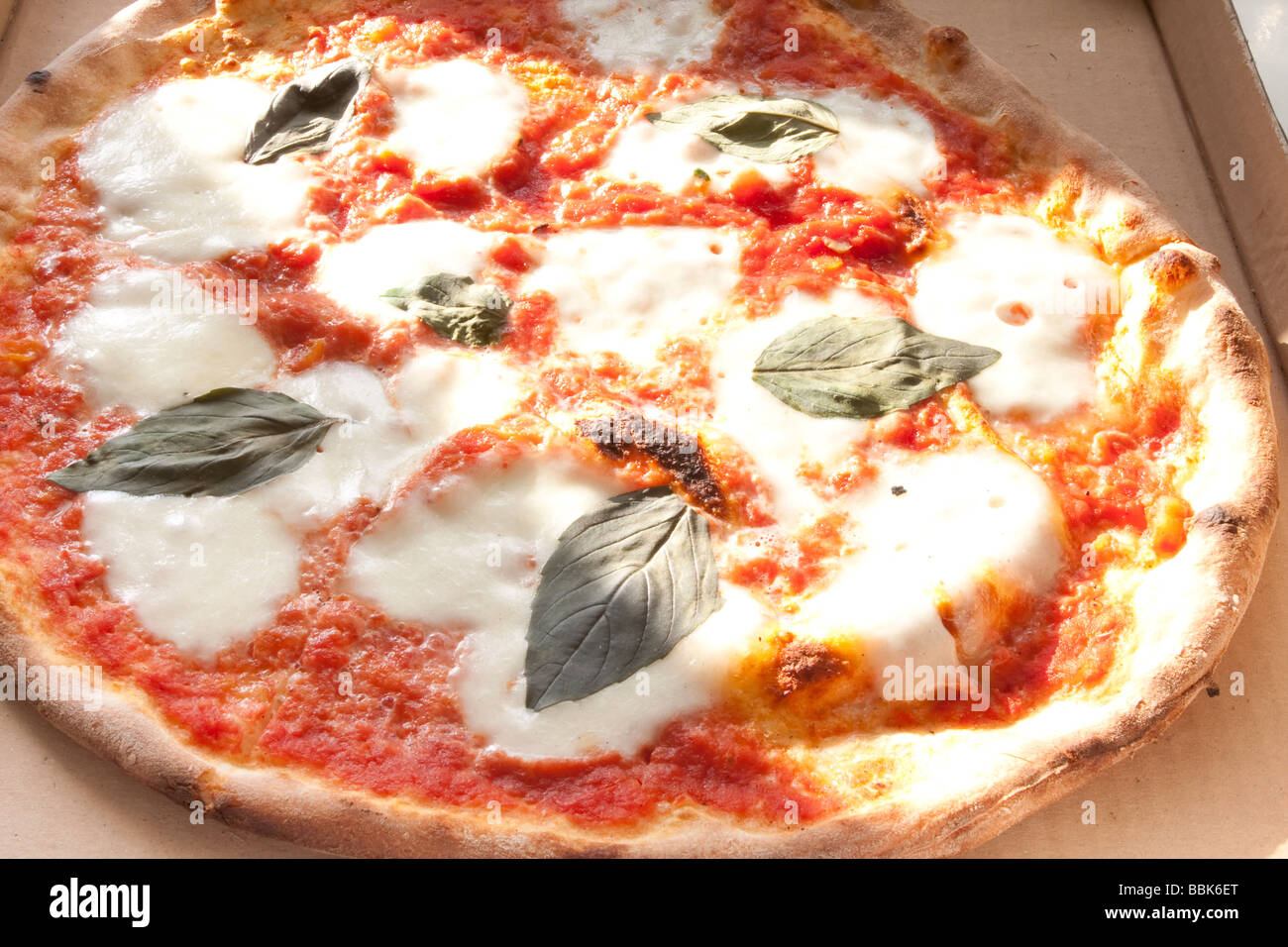 Authentische Margherita-Pizza mit Basilikum und Mozzarella auf einer goldenen Kruste. Stockfoto