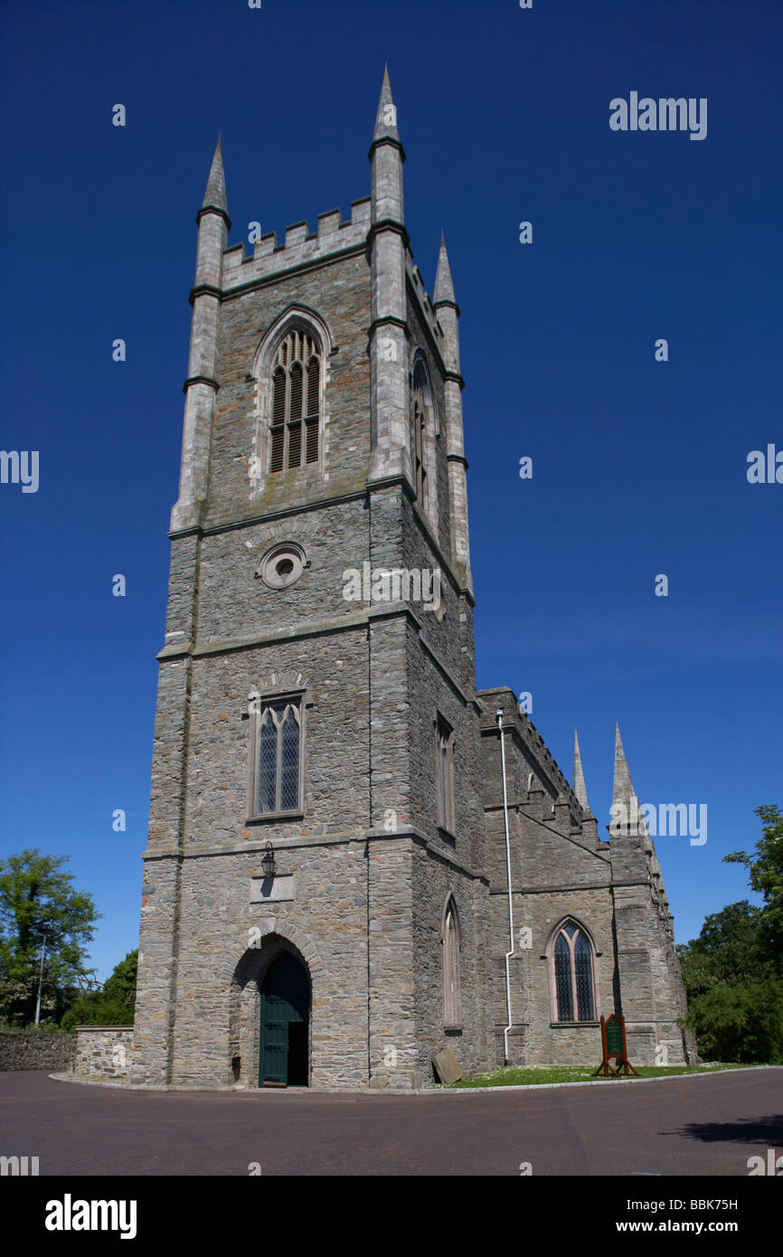 Kirche von Irland Kathedrale Kirche der Heiligen und ungeteilten Dreifaltigkeit Downpatrick Grafschaft, Nord-Irland Stockfoto