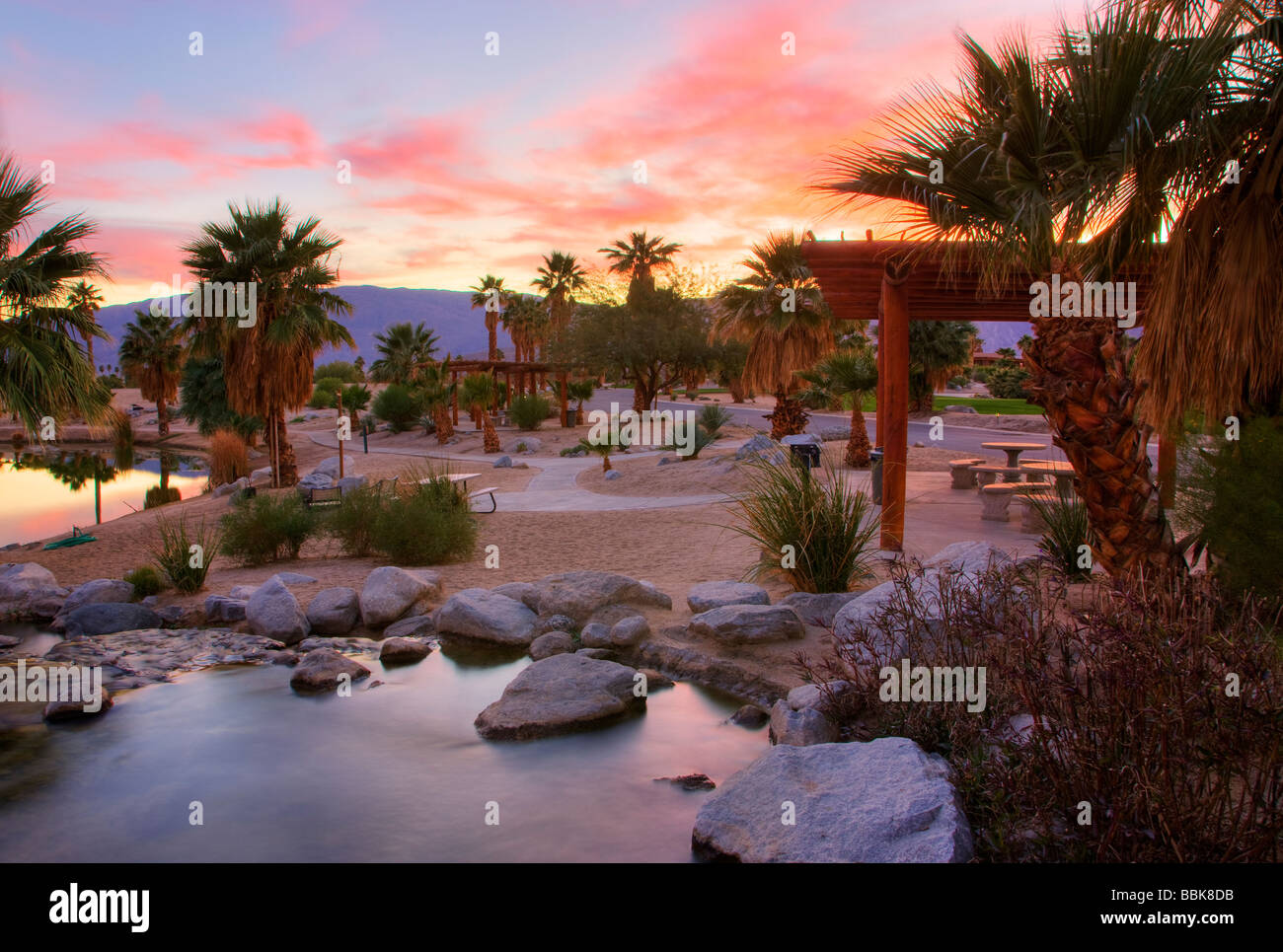 Brunnen an den Quellen in Borrego Borrego Springs Kalifornien Stockfoto