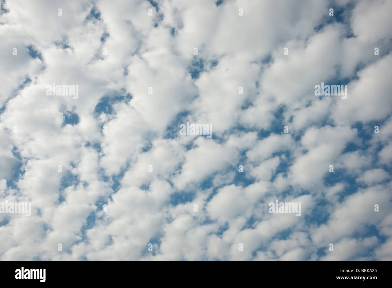 Abstrakten Detail der Makrele Himmel geeignet für Hintergrund Stockfoto