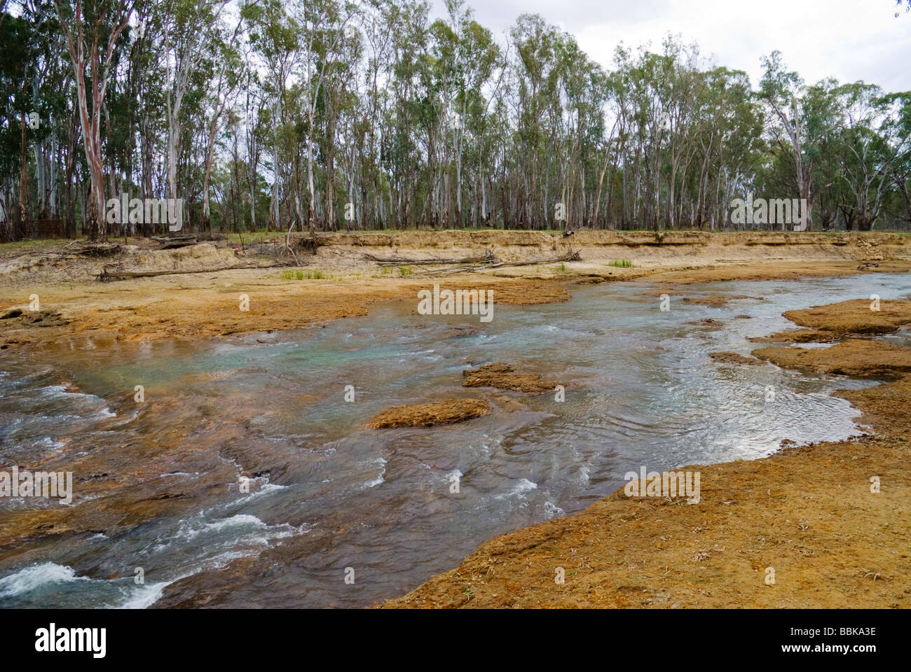 Niedrigen Wasserständen in Australiens Murray River Stockfoto