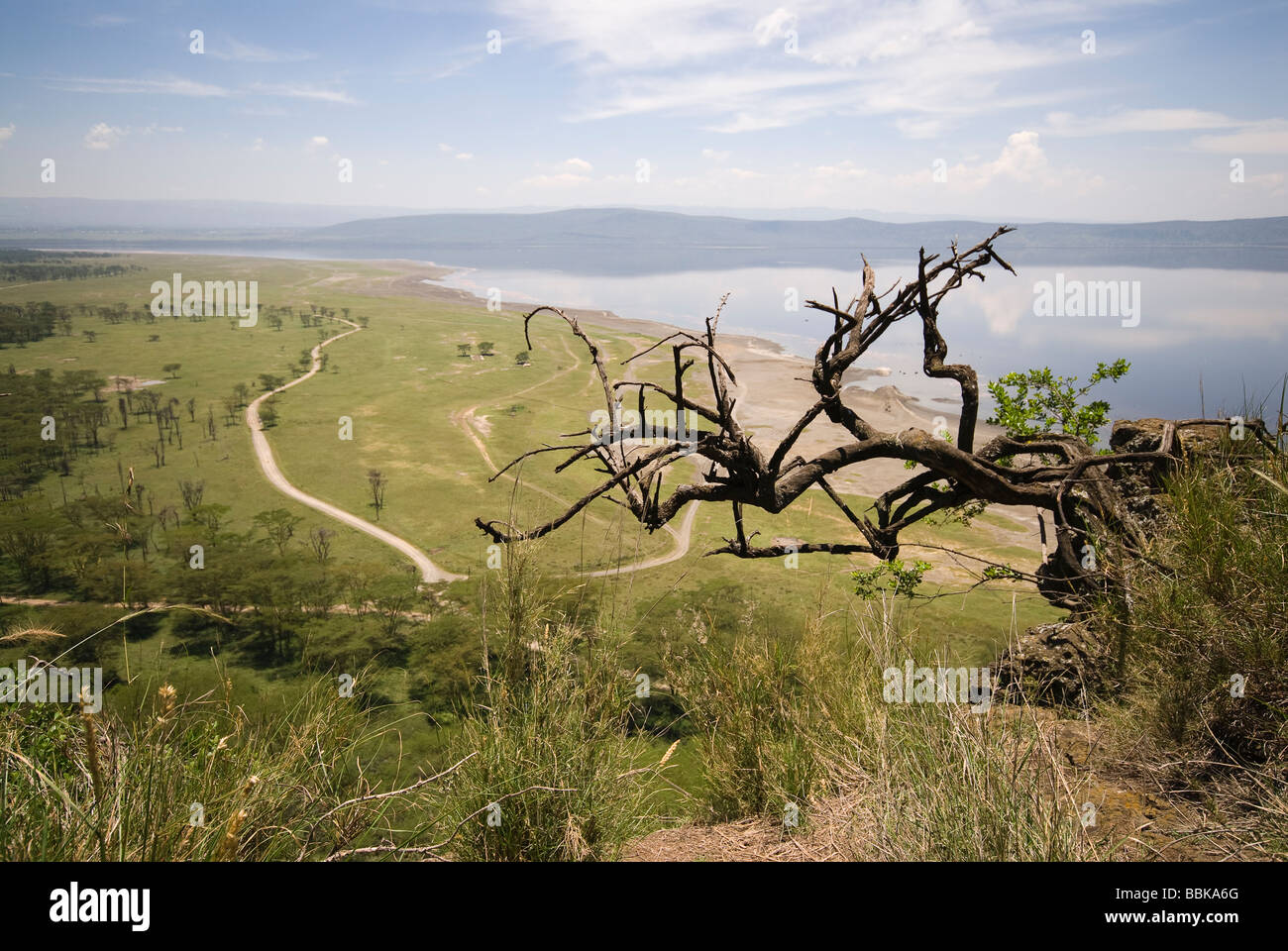 Landschaft und Blick auf Lake Nakuru NAKURU Nationalpark Kenia in Ostafrika Stockfoto