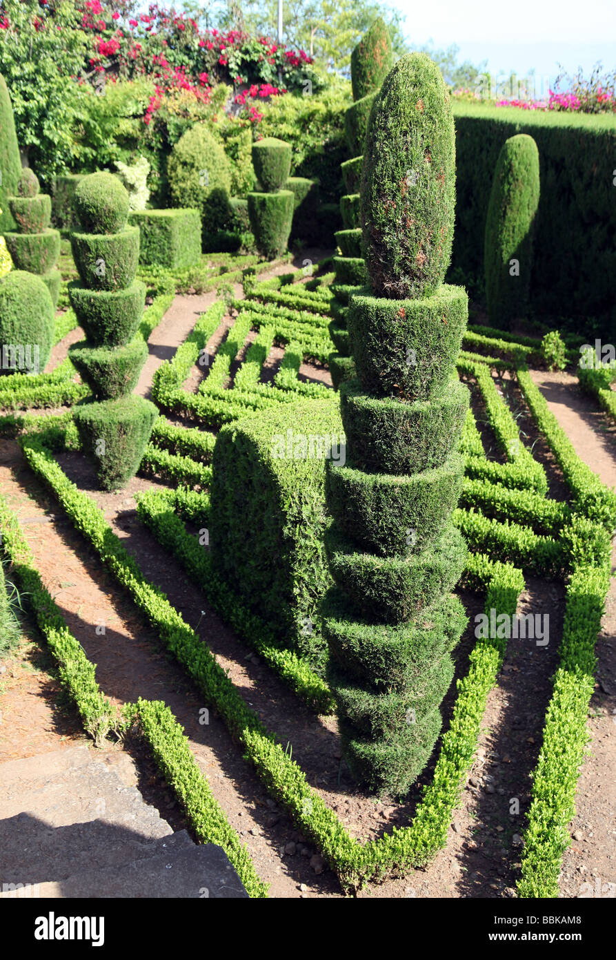 Topiary Garten Botanic Gardens Madeira Stockfoto