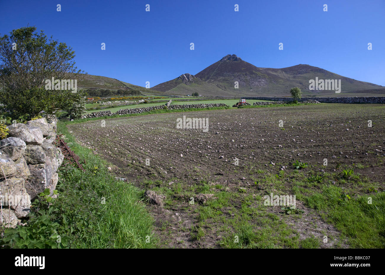 steinige felsige Gebiet unter Slieve Binnian und frühen Binnian in der Mourne Mountains Grafschaft unten Nordirland Vereinigtes Königreich Stockfoto