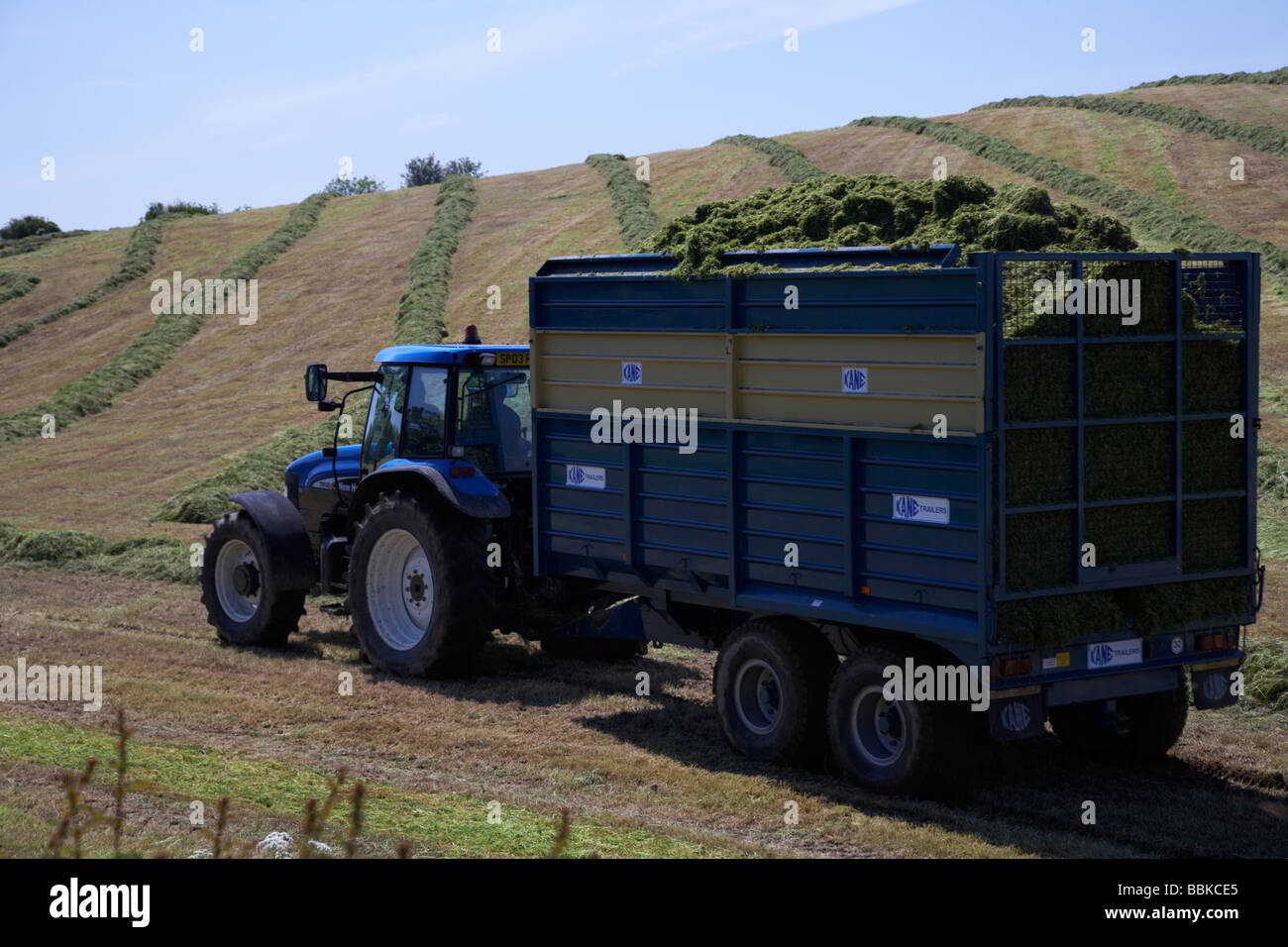 Abschleppen Sattelzug voll Gras geschnitten für die Silageproduktion in einem Feld County down Nordirland Vereinigtes Königreich Stockfoto