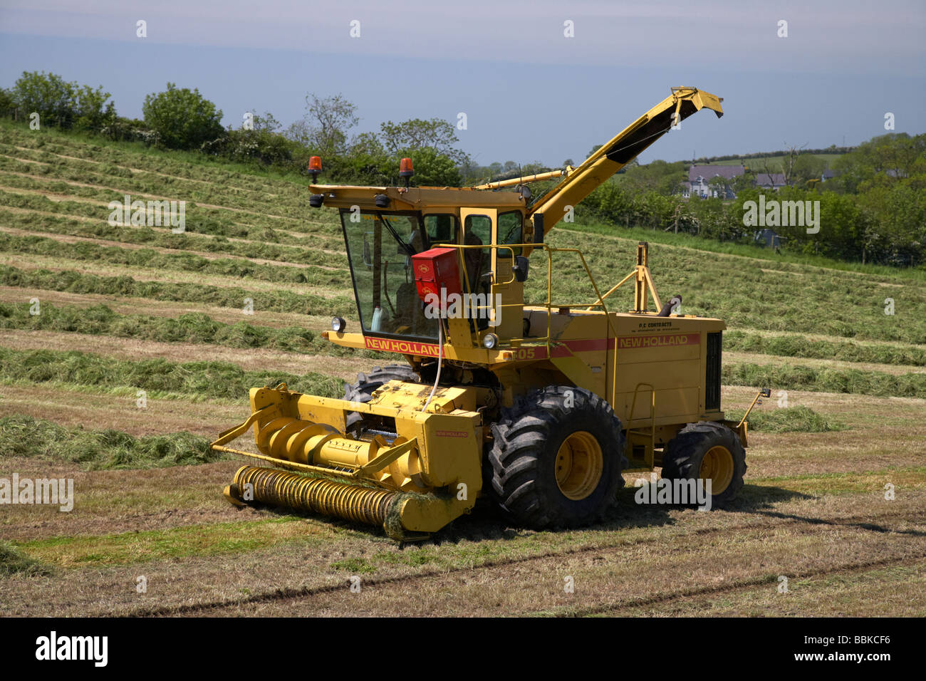 Forage Harvester sammeln Rasen schneiden für Silage Produktion Grafschaft unten Nordirland Vereinigtes Königreich Stockfoto