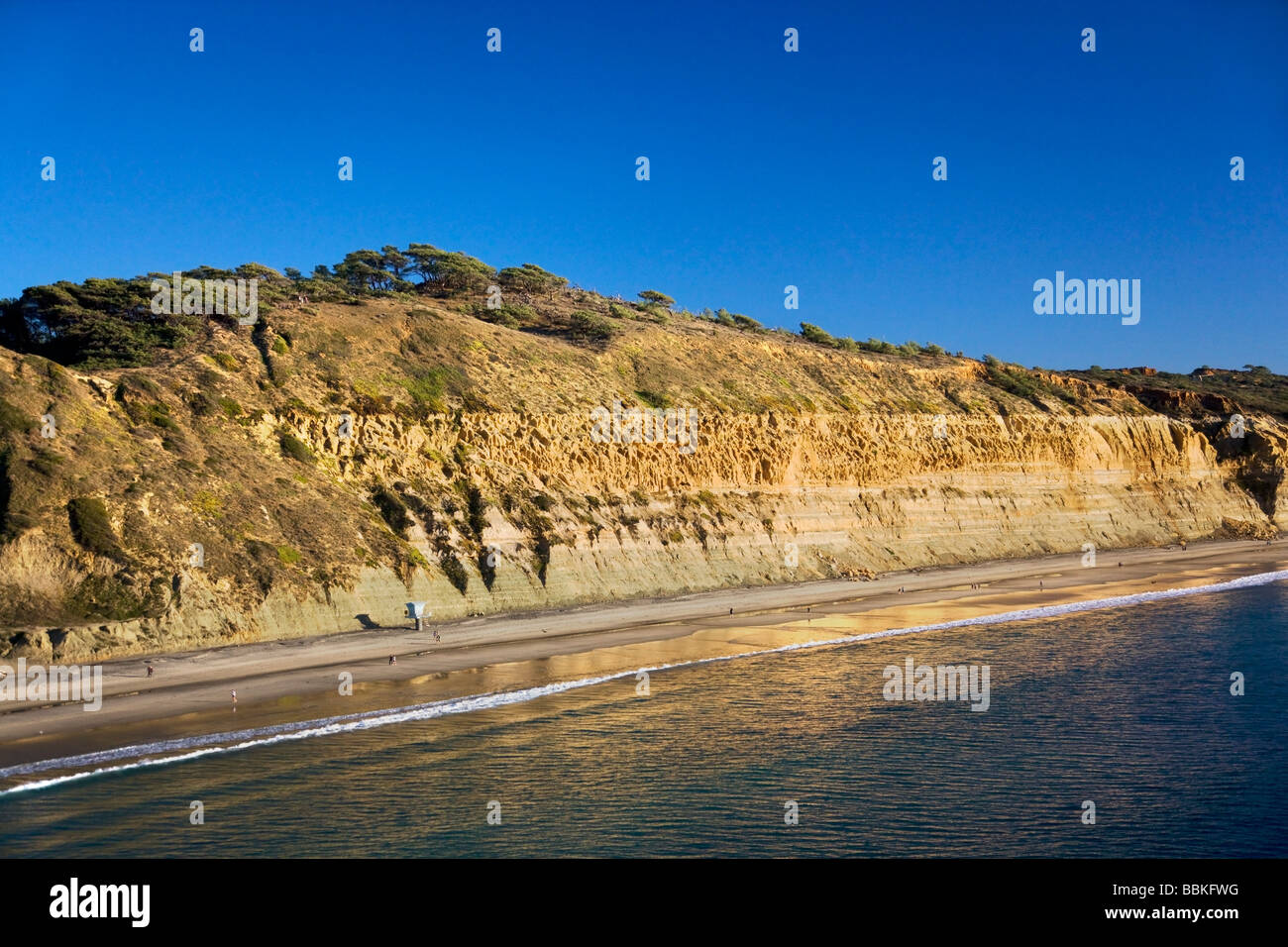 Torrey Pines State Preserve San Diego County La Jolla, Kalifornien Stockfoto