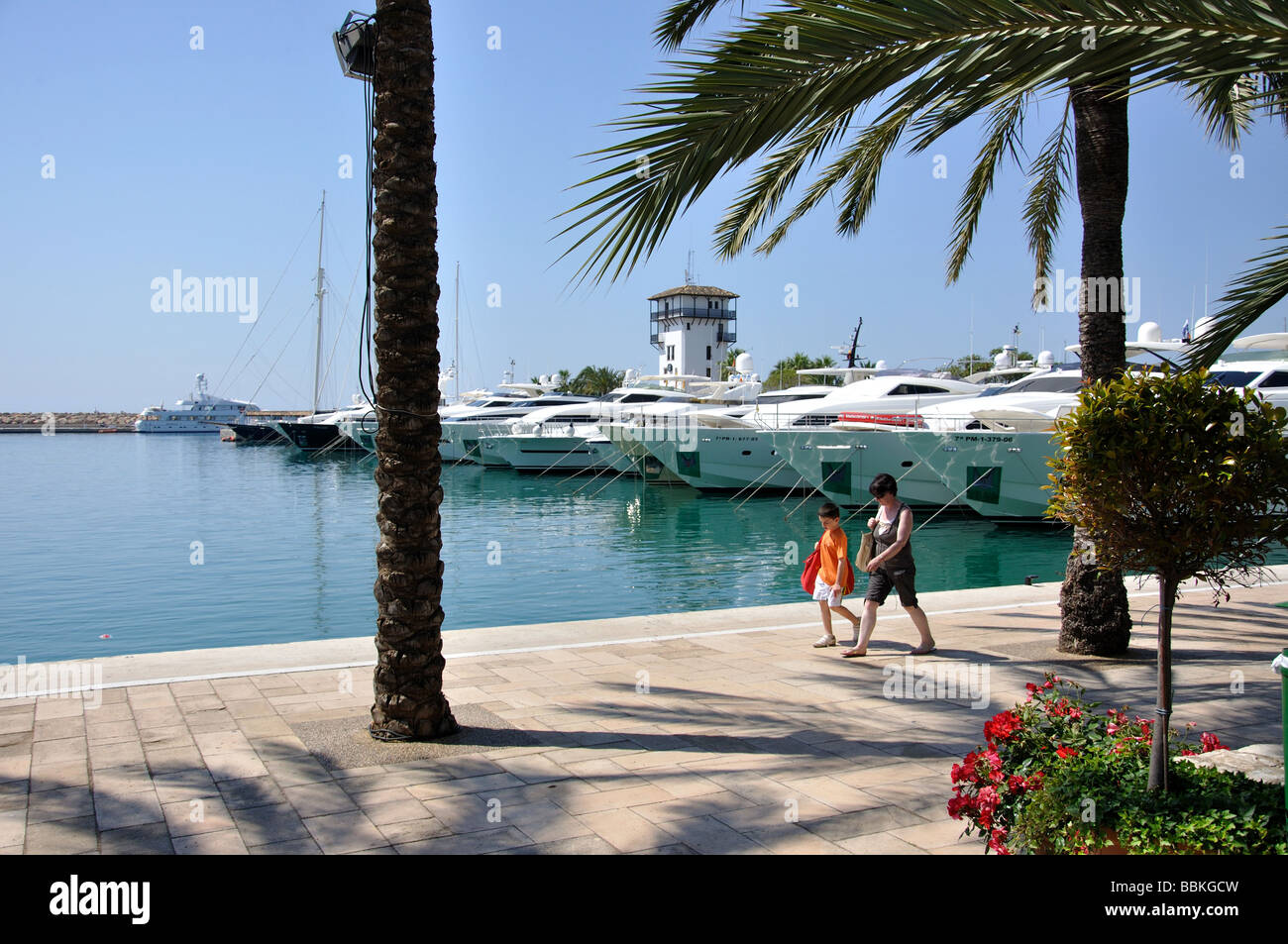 Blick auf die Marina, Puerto Portals, Portals Nous / Bendinat, Mallorca, Balearen, Spanien Stockfoto