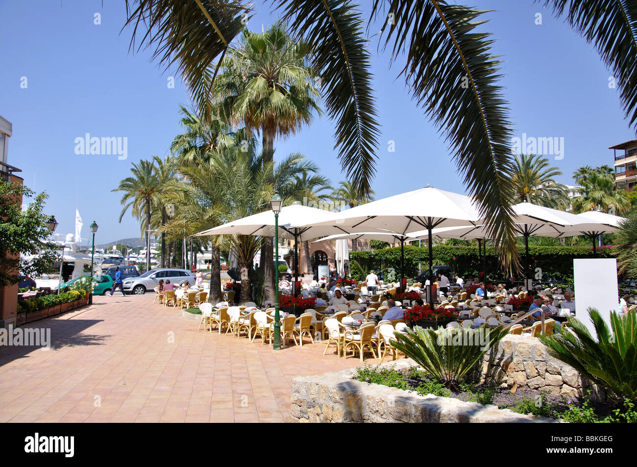 Promenade Café, Puerto Portals, Portals Nous, Mallorca, Balearen, Spanien Stockfoto