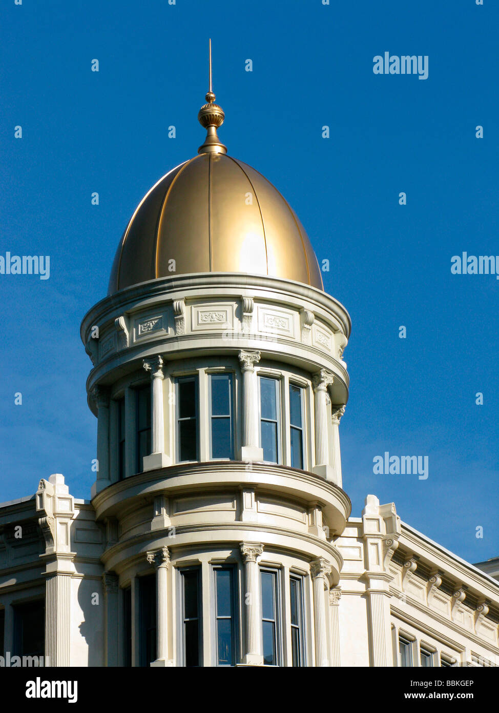 Goldhaube Stockfoto