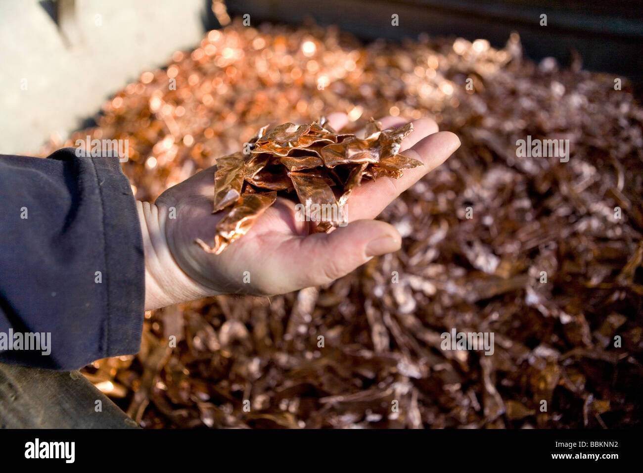 Recycling von Metallen, die alle Gemeinden in den Niederlanden erforderlich sind, um die bekannten Sammelstellen vorsehen und recycelbaren oder gefährliche Materialien können alle Arten von getrennten Müll hier kostenlos akzeptiert werden oder eine kleine Summe je nach Art der materiellen Grünzeug und Beton Ziegel ist in der Regel kostenlos einige Geschäfte durchführen Sammlung von Chemikalien Farbe Batterien niederländischen Hausmüll recycling Durchschnittswerte bis 60 2006 Stockfoto