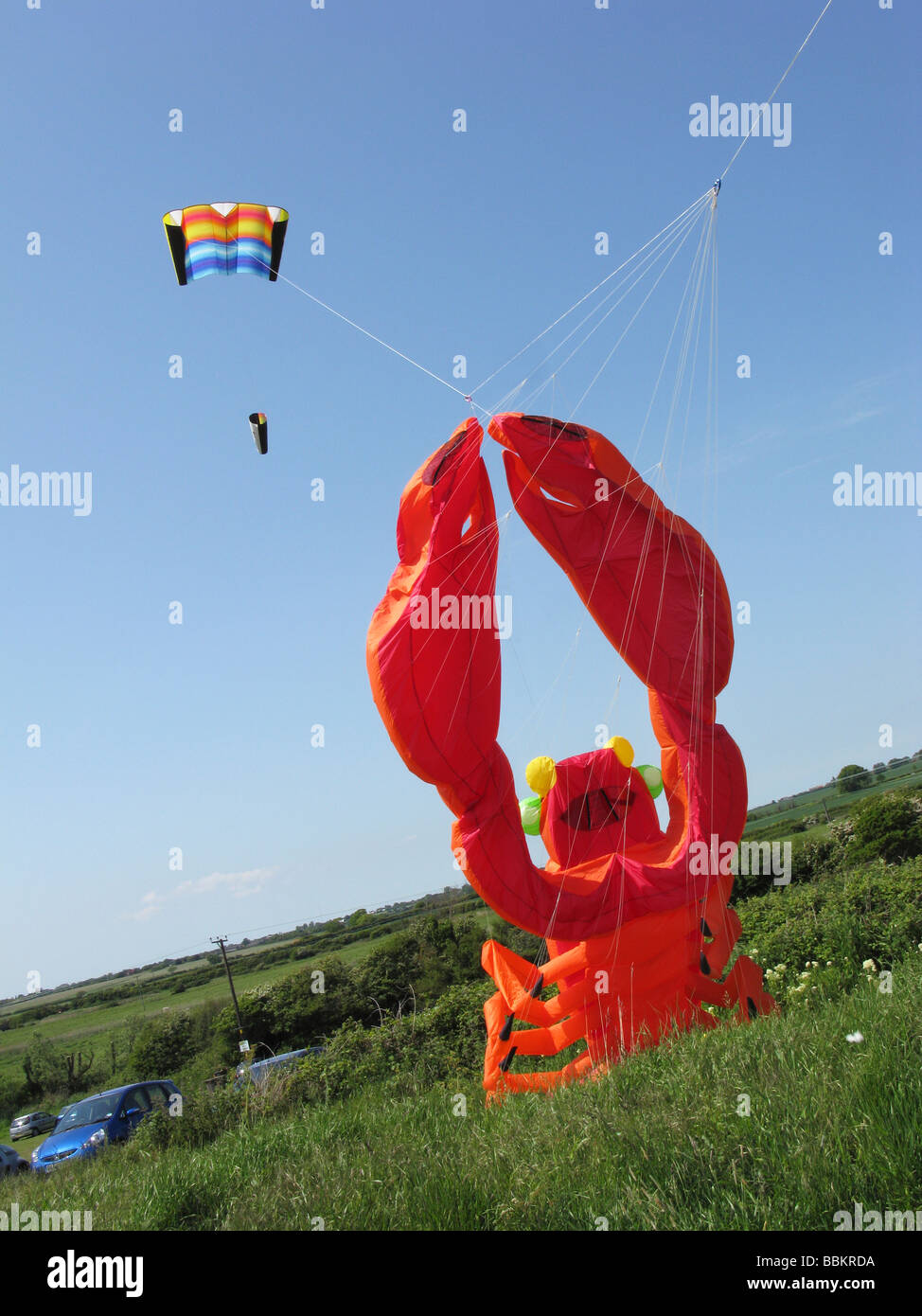 große rote Hummer fliegen eine kite.wierd Stockfoto