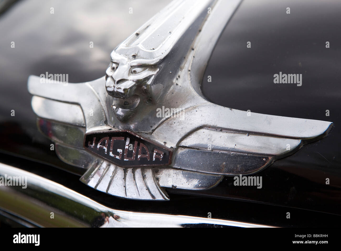 Motoring Motorhaube Maskottchen der alten Pre Krieg der 1930er Jahre britische aus SS-Jaguar Oldtimer Stockfoto