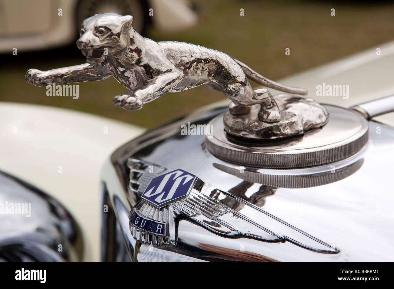 Erste springenden Jaguar Maskottchen Autofahren auf Vorderseite 1936 British made SS15 Auto Stockfoto